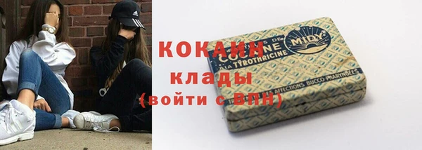 гидра Ладушкин