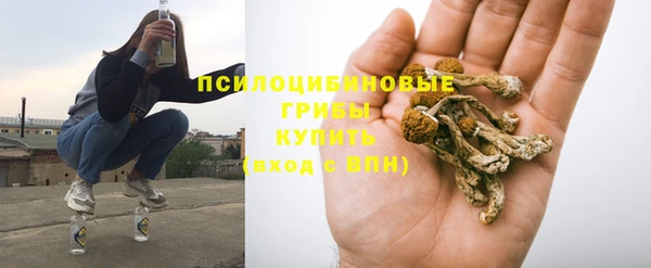 a pvp Кулебаки