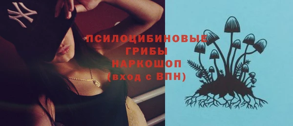хмурый Кукмор