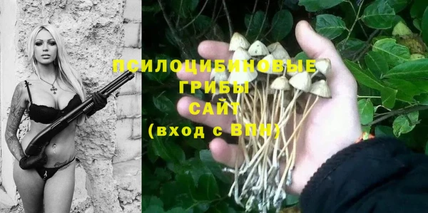шишки Балашиха
