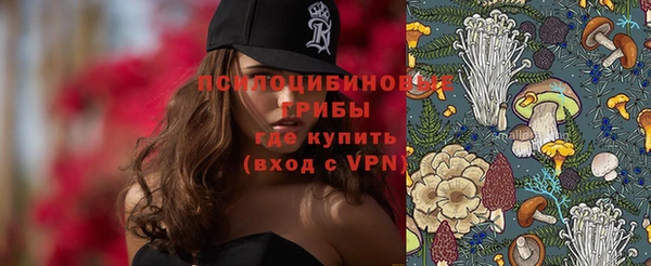 a pvp Кулебаки